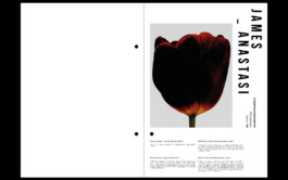 Isole - James Anastasi Elodie Trang Website