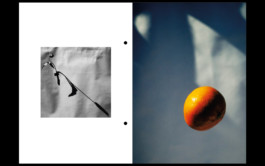 Isole - James Anastasi 3 Elodie Trang Website
