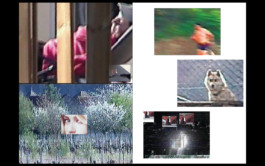 Isole - Frankie and Nikki 2 Elodie Trang Website